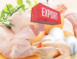 دستورالعمل عملیات کشتار و بسته بندی مرغ گوشتی مطابق استانداردهای صادرات ویرایش شهریور 1405